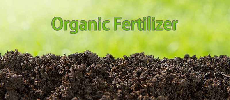 organic fertilizer production business